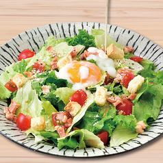 温玉シーザーサラダ
