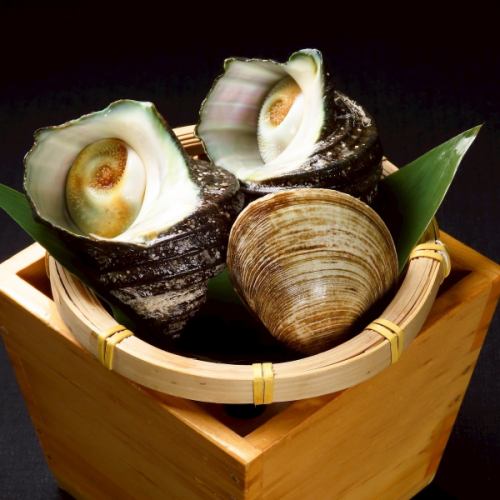 ◆活贝套餐（普通）