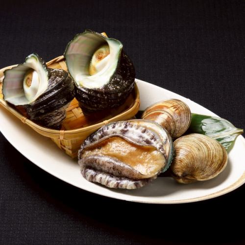 ◆活贝套餐（大）