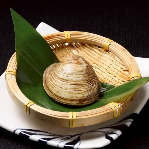 活白蛤蜊壳