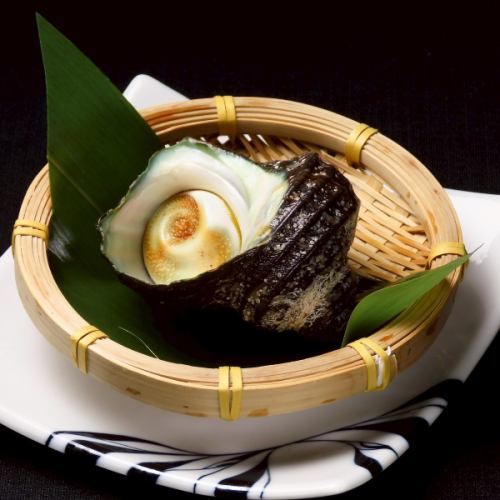 活蝾螈