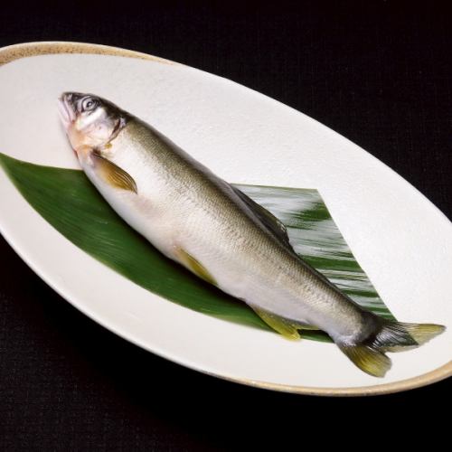 香鱼