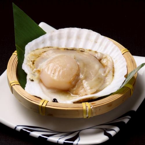 扇贝