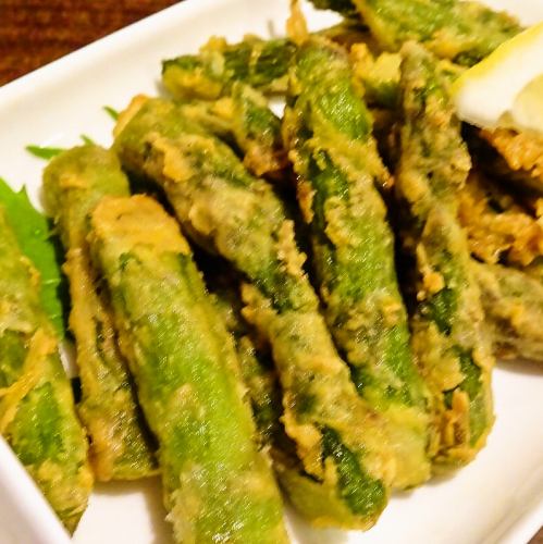 asparagus fritters