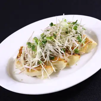 5 spicy vegetable dumplings