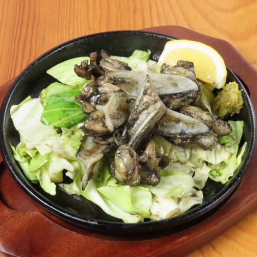 ヤゲン軟骨