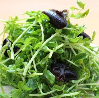 豆苗とキクラゲのシャキシャキサラダ