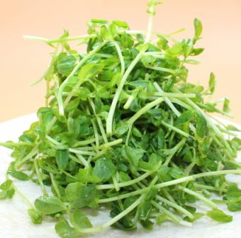 豆苗のガーリック炒め