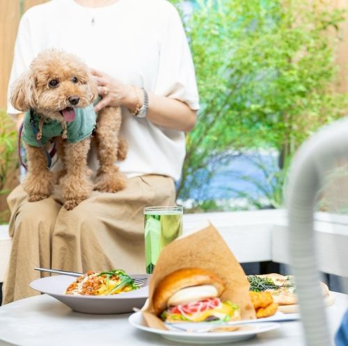 Terrace x Dining Scene