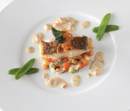 【千産千消の鮮魚】その日に仕入れた鮮魚をシェフのこだわり料理でご提供