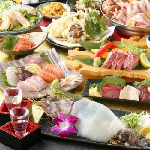 ご宴会や飲み会に『九州プチ旅行コース』朝〆イカの姿造／炉端焼きｘ牛ハラミ◇250種2時間飲み放題付5000円