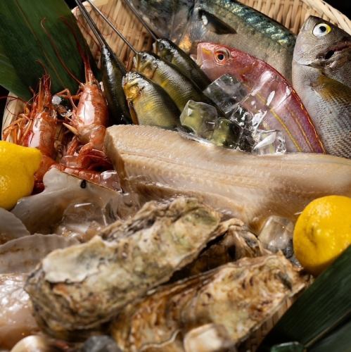 【当店のこだわり】大阪の市場から仕入れる新鮮な魚