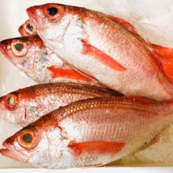 【Fコース】極みコース◆黒毛和牛カイノミ・高級魚のどぐろ・生牡蠣など当店自慢の逸品を楽しむ