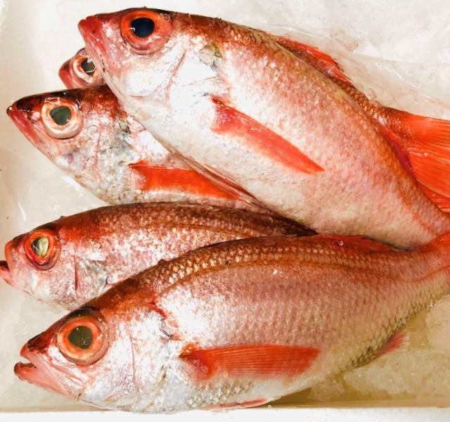 【辻堂で「のどぐろ」が楽しめるのはくぅだけ！】極上の日本海のどぐろを丸ごと1匹炭火焼で堪能！！