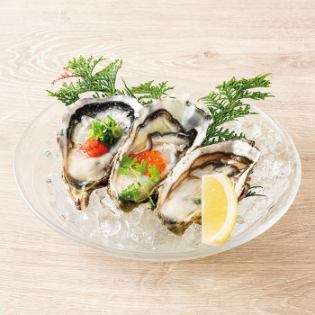 Assortment of 3 types of live oysters