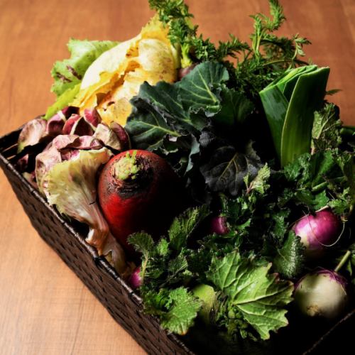 産地直送！有機栽培野菜