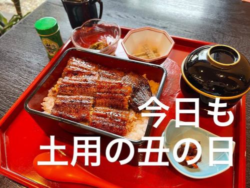 July 31st is the second day of the Doyo no Ushi
Beat the heat with some authentic charcoal-grilled eel!

Take-out is also available at any time
Enjoy Mikawa Isshiki's extra-large grilled eel (3,780 yen) at home.

business hours
11:00-20:00 (last order 20:00)
(Eel is also available for order during cafe time from 2pm to 5pm.)

#Charcoal-grilled eel
#Charcoal-grilled eel Shichifuku
#All About Mikawa
#Binchotan
#Seven blessings
#Tea place
#Hitsumabushi
#Komaki Gourmet
#KomakiLunch
#KomakiDinner
#Aichi Gourmet
#Komaki City
#Eel
#Charcoal fire
#Sweets
#Japanese Cafe
#coffee
#KomakiTimes
#KomakiTsushin
#Doyō no Ushi no Hi

#Komaki Premium Gift Certificate