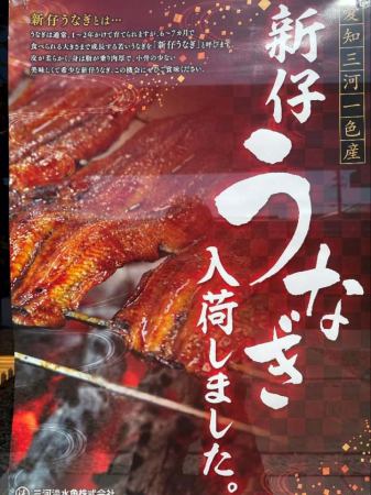 愛知三河一色産の新仔