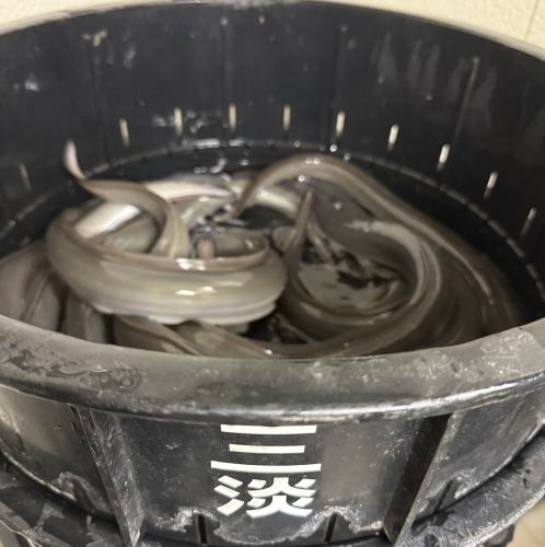 以愛知縣三河一色特大鰻魚製成