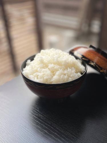.
Hatsushimo, known as the "phantom rice"!?

Grown in neighboring Gifu Prefecture
[Hatsushimo] is
It is rarely cultivated outside of Gifu Prefecture.

"Phantom rice"

Apparently, that's what they say!

We use this Hatsushimo at our store!
Moderate sweetness and good viscosity
And above all

Large grains with a satisfying texture

The large, satisfying Hatsushimo
Perfect for Hitsumabushi, Unaju and Unadon.
Its presence is even more
It really brings out the deliciousness of eel dishes!

moreover
At our restaurant, we use binchotan charcoal to cook rice,
It's cooked fluffy and delicious!

Please pay attention not only to the eel but also to the rice.

------------------------------------------------------------------
Reservations can be made by phone or via Hot Pepper Gourmet.
Please note that we do not accept reservations via Instagram DM.

business hours
11:00-20:00 (last order 20:00)
(Tea time from 2pm to 5pm. Eel dishes can also be ordered.)

#Komaki City
#CharcoalGrilledEelShichifuku
#Eel restaurant
#Komaki Gourmet
#white rice
