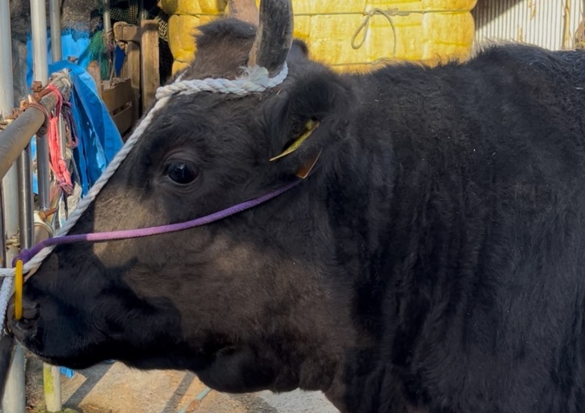 Open until midnight! Perfect for after work, or as your second or third stop!