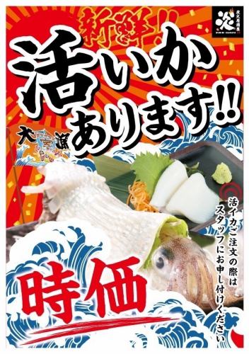 新鮮な活いかご用意！