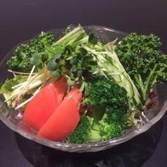 朝採り野菜の新鮮サラダ