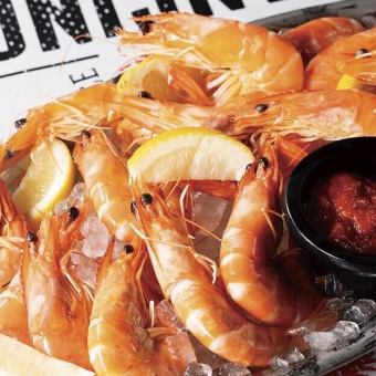 Shrimp cold platter