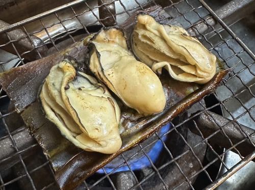 Grilled oysters and kelp