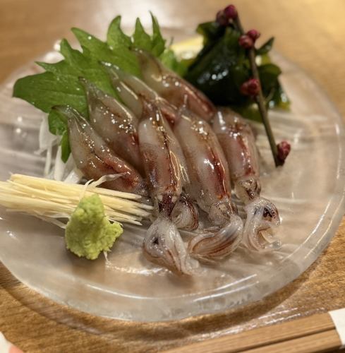 新物！　生蛍烏賊　お造り