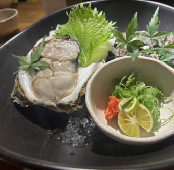 隠岐の岩牡蠣