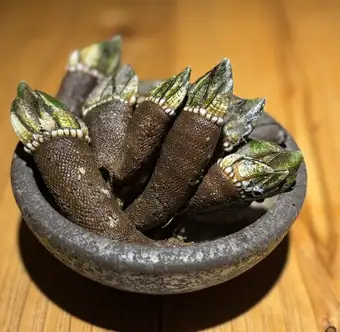 Boiled barnacles in salt water