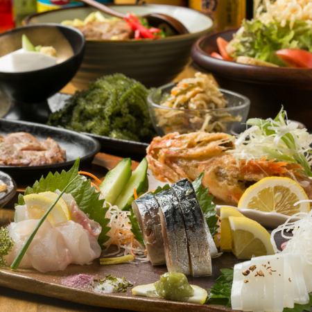 [Banquet] 2 hours all-you-can-drink included! HARIKU luxury course (8 dishes in total) 5,000 yen