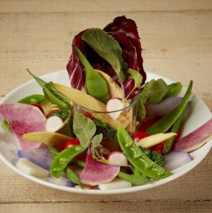 Bagna Cauda salad made with selected vegetables