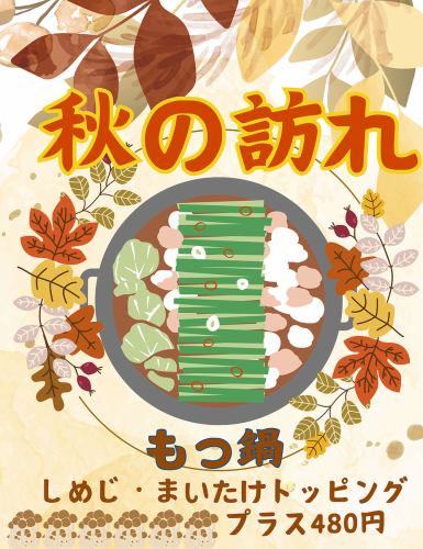 ぷりっぷりのもつが旨い♪