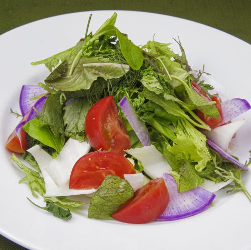 Herb and seasonal vegetable salad