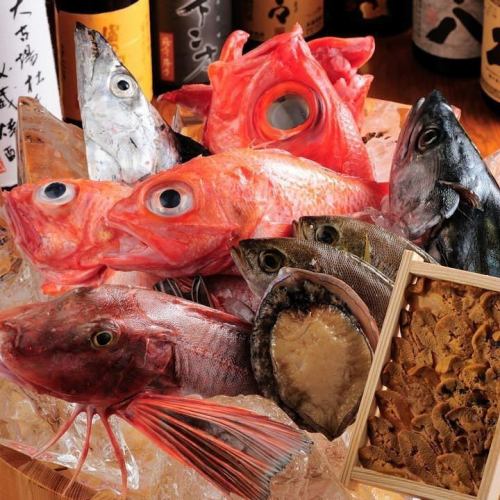 从纪州蓑岛渔港、四国室户岬直送的新鲜食材