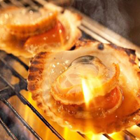 Scallop grilled