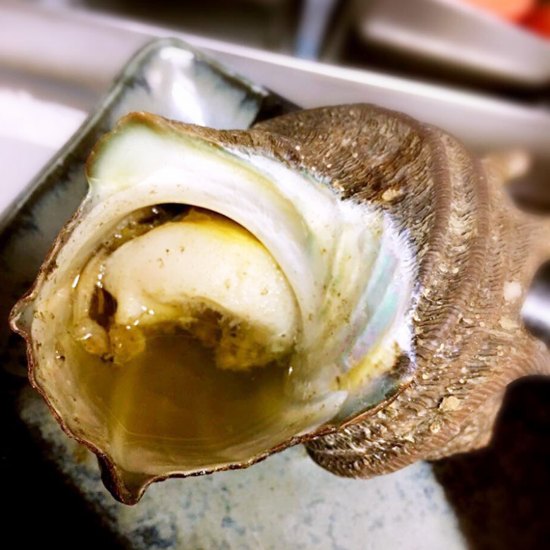 Turban shell grill