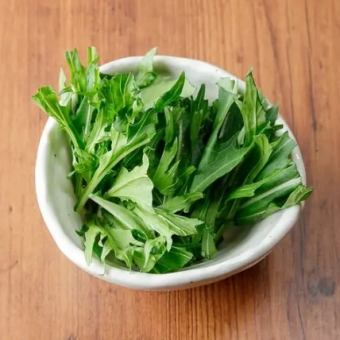 Mizuna