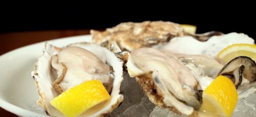 True oysters (Iwate Ofunato)