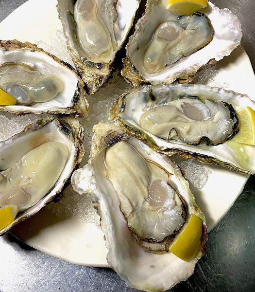 年中入荷！新鮮な生牡蠣