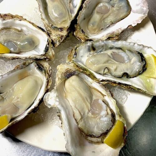 年中入荷！新鮮な生牡蠣