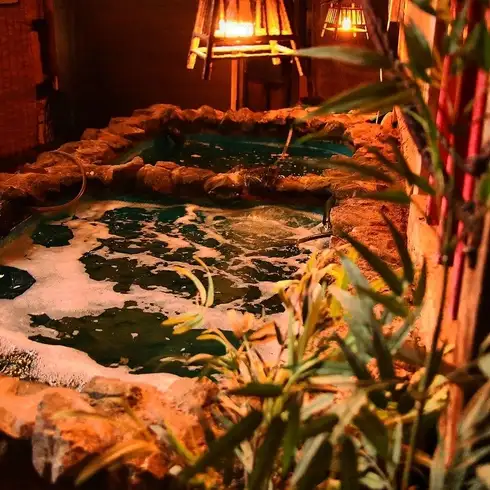 【九州名物満喫】水炊き・ゴマサバ・活イカなど豊富にご準備♪