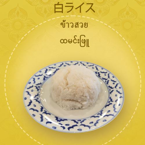 白ライス