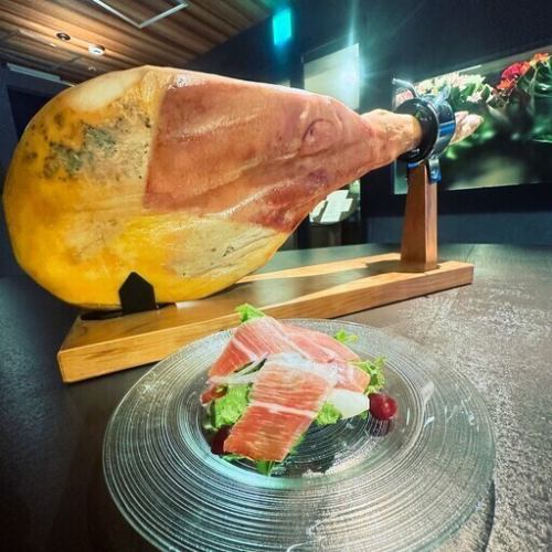 哈蒙塞拉诺