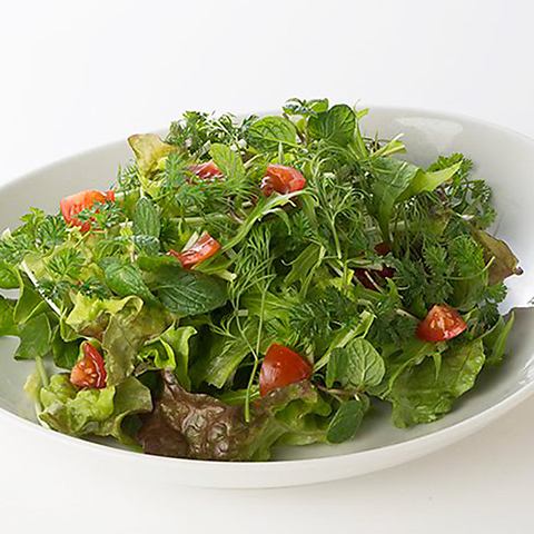 Green Herb Salad