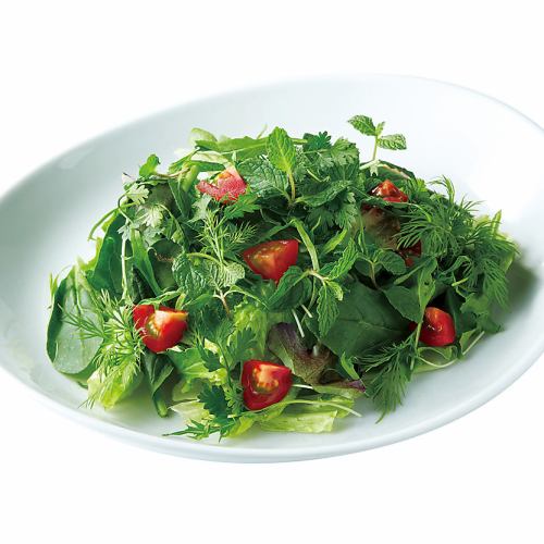 green herb salad