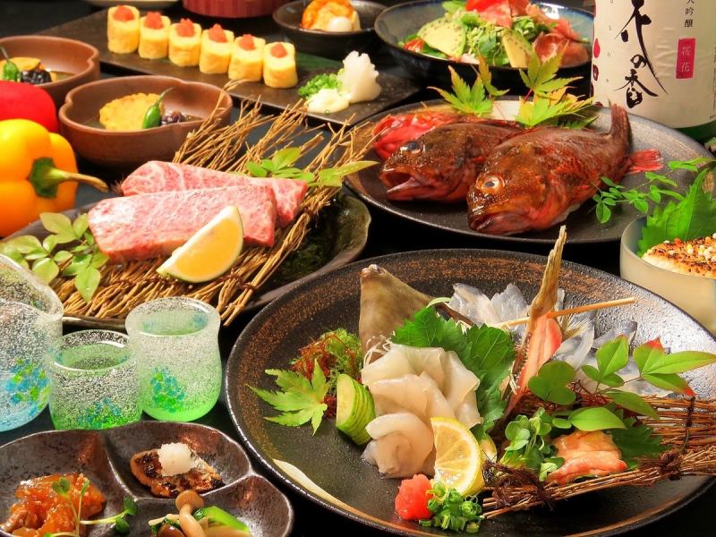 旬魚の刺身盛合せ等8品4000円コース★飲み放題は、スタンダード2500円、プレミアム3500円