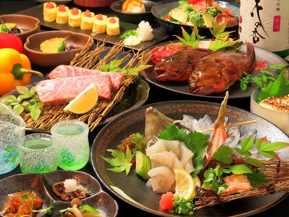 熊本県産の味彩牛や赤鶏の串焼き、熊本の郷土料理も勢揃い◎